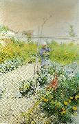 Carl Larsson i kakstradgarden oil painting artist